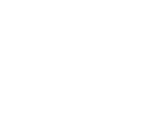 JJ Domiciliary Limited